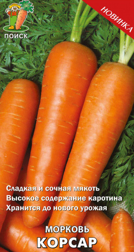 Морковь Корсар